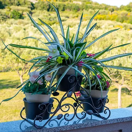 דירה Rebecca Kampor