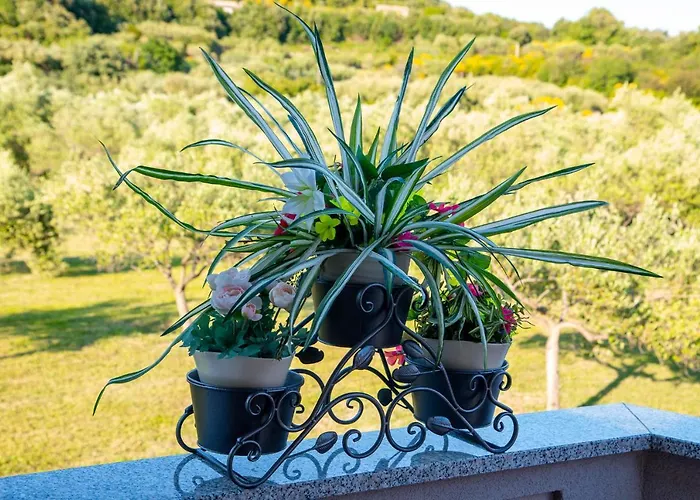 Lägenhet Rebecca Kampor